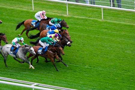 Affordability of owning a racehorse (Why invest in a racehorse?) news detail image